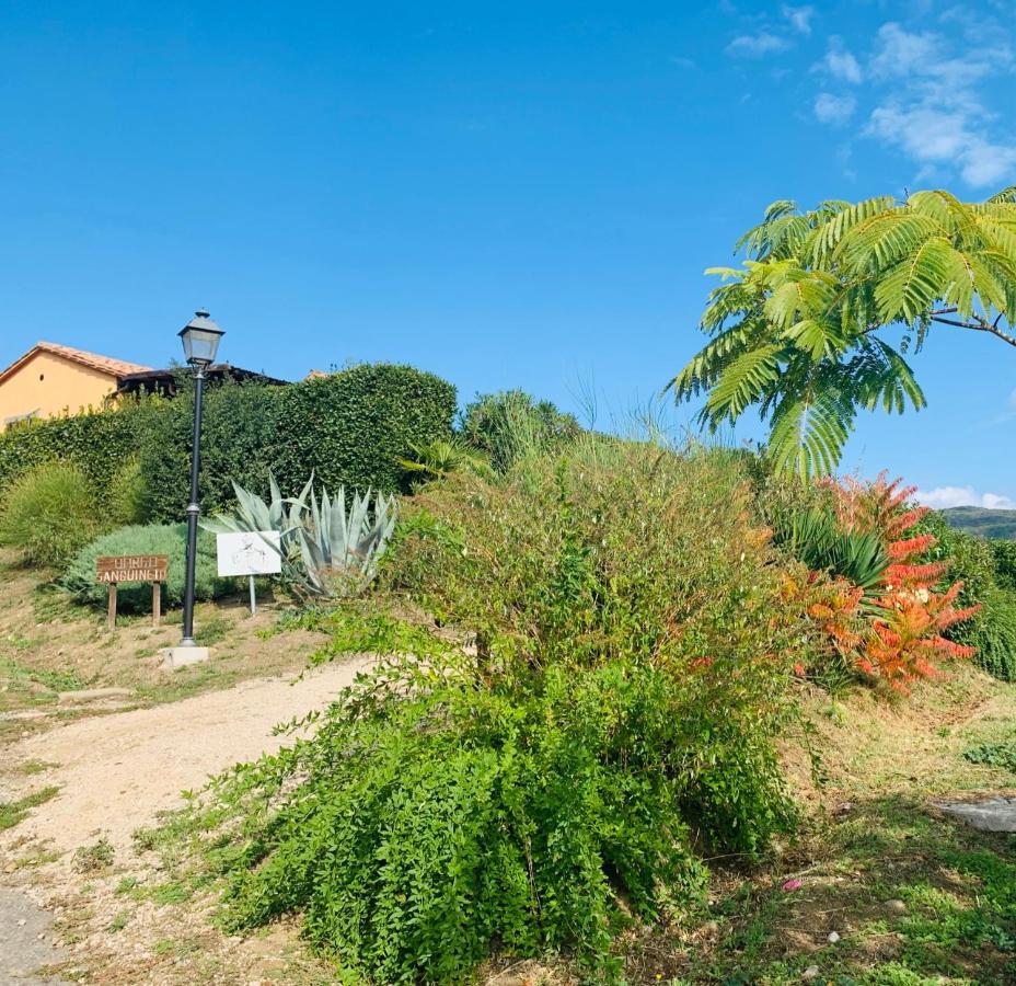 Agriturismo Annibale Tuoro sul Trasimeno Exterior foto